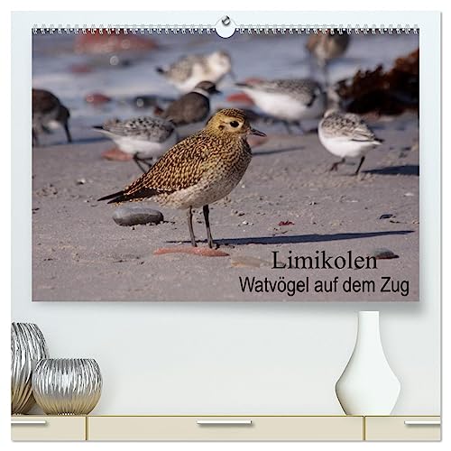 Limikolen Watvögel auf dem Zug (hochwertiger Premium Wandkalender 2025 DIN A2 quer), Kunstdruck in Hochglanz von CALVENDO