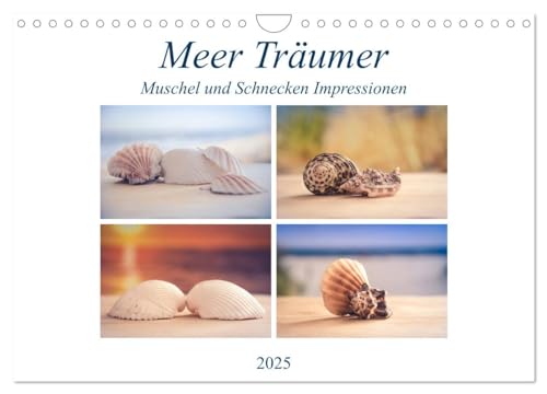 Meer Träumer - Muscheln und Schnecken Impressionen (Wandkalender 2025 DIN A4 quer), CALVENDO Monatskalender von CALVENDO