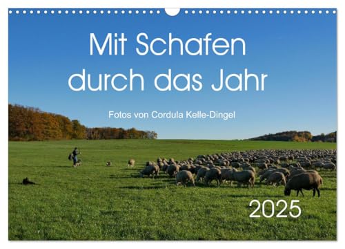 Mit Schafen durch das Jahr (Wandkalender 2025 DIN A3 quer), CALVENDO Monatskalender