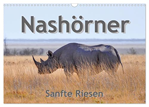 Nashörner - Sanfte Riesen (Wandkalender 2025 DIN A3 quer), CALVENDO Monatskalender von CALVENDO