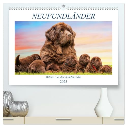 Neufundländer - Bilder aus der Kinderstube (hochwertiger Premium Wandkalender 2025 DIN A2 quer), Kunstdruck in Hochglanz von CALVENDO