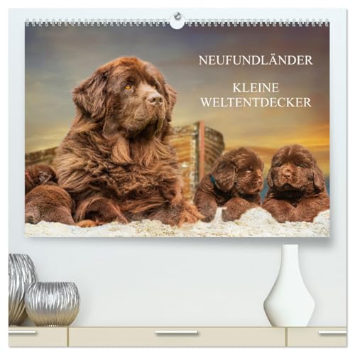 Neufundländer - Kleine Weltentdecker (hochwertiger Premium Wandkalender 2025 DIN A2 quer), Kunstdruck in Hochglanz von CALVENDO