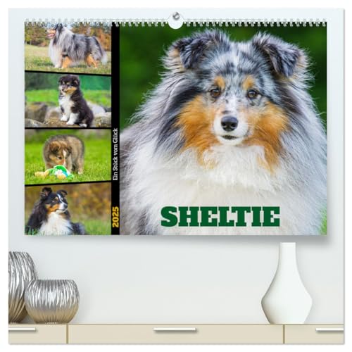 Sheltie - Ein Stück vom Glück (hochwertiger Premium Wandkalender 2025 DIN A2 quer), Kunstdruck in Hochglanz von CALVENDO