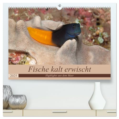 Sven Gruse taucht ab! Fische kalt erwischt (hochwertiger Premium Wandkalender 2025 DIN A2 quer), Kunstdruck in Hochglanz von CALVENDO