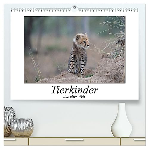 Tierkinder aus aller Welt (hochwertiger Premium Wandkalender 2025 DIN A2 quer), Kunstdruck in Hochglanz von CALVENDO