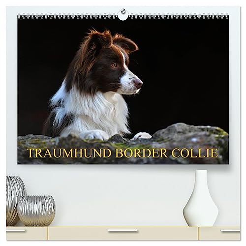 Traumhund Border Collie (hochwertiger Premium Wandkalender 2025 DIN A2 quer), Kunstdruck in Hochglanz von CALVENDO