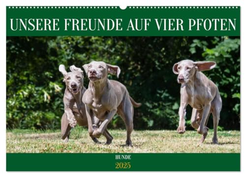 Unsere Freunde auf vier Pfoten - Hunde (Wandkalender 2025 DIN A2 quer), CALVENDO Monatskalender von CALVENDO