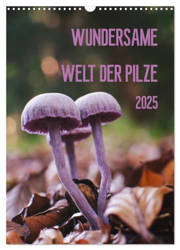 Wundersame Welt der Pilze (Wandkalender 2025 DIN A3 hoch), CALVENDO Monatskalender von CALVENDO