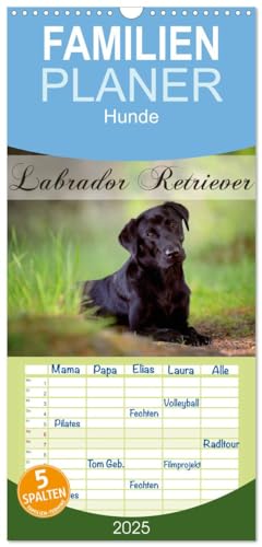 Familienplaner 2025 - Labrador Retriever mit 5 Spalten (Wandkalender, 21 cm x 45 cm), CALVENDO