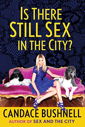 Is There Still Sex in the City? von Ingram Publisher Services