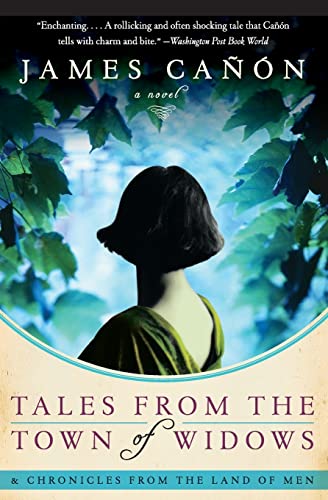 Tales from the Town of Widows: A Novel