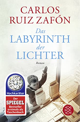 Das Labyrinth der Lichter: Roman