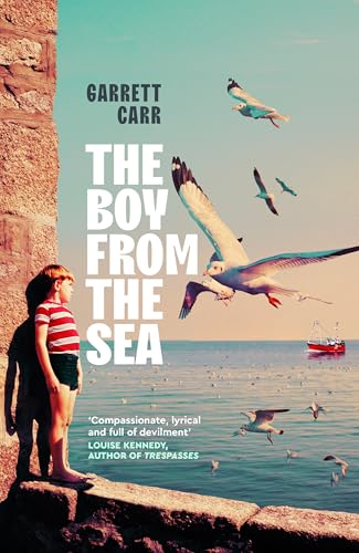 The Boy from the Sea von Picador