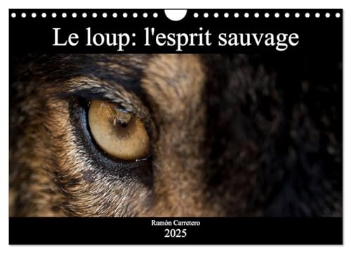 Le loup: l'esprit sauvage (Calendrier mural 2025 DIN A4 vertical), CALVENDO calendrier mensuel: Des images incroyables de loups von Calvendo