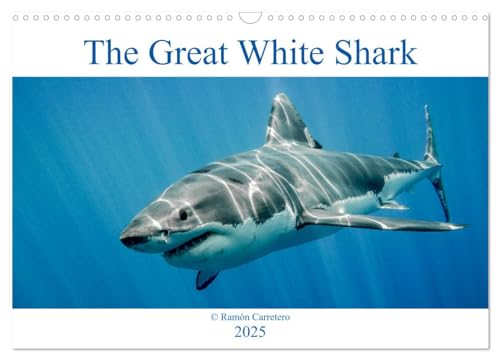 The Great White Shark: King of the Ocean (Wall Calendar 2025 DIN A3 landscape), CALVENDO 12 Month Wall Calendar: The great white shark: king of the ocean von Calvendo