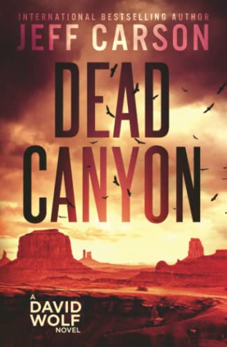 Dead Canyon (David Wolf Mystery Thriller Series, Band 16) von Independently published