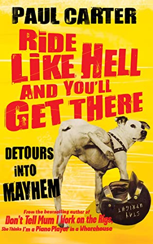 Ride Like Hell and You'll Get There: Detours into mayhem von Nicholas Brealey Publishing