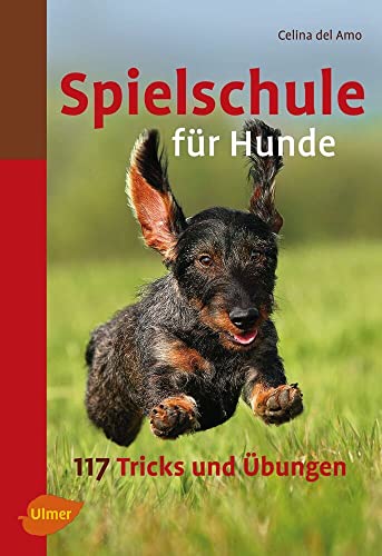 Spielschule für Hunde: 117 Tricks und Übungen: 117 Tricks und Übungen. Vorwort v. Viviane Theby von Ulmer Eugen Verlag