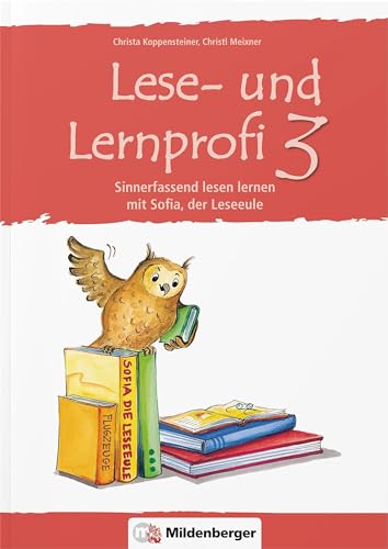 Lese- und Lernprofi 3 – Arbeitsheft: Sinnerfassend lesen lernen mit Sofia der Leseeule, Klasse 3