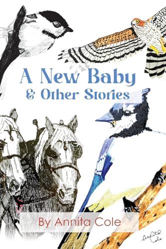 A New Baby & Other Stories von PageMaster Publishing