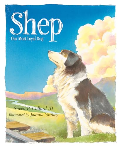 Shep: Our Most Loyal Dog (True Stories)