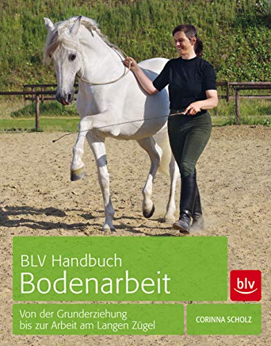 BLV Handbuch Bodenarbeit: Von der Grunderziehung bis zur Arbeit am Langen Zügel (BLV Pferde & Reiten) von Gräfe und Unzer