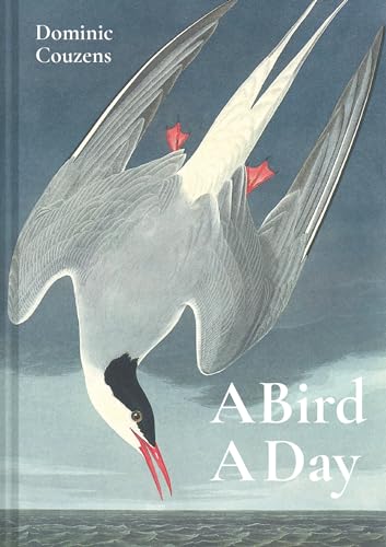 A Bird A Day von Bloomsbury