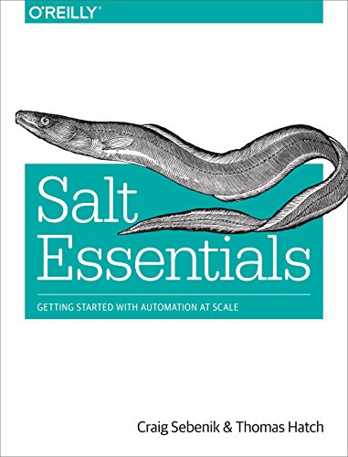 Salt Essentials von O'Reilly Media
