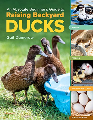 An Absolute Beginner's Guide to Raising Backyard Ducks: Breeds, Feeding, Housing and Care, Eggs and Meat von Workman Publishing