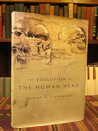 Evolution of the Human Head von Harvard University Press