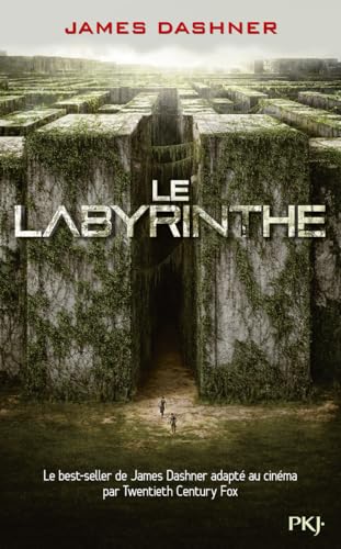 Le Labyrinthe 3. L'épreuve: Roman