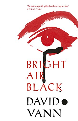 Bright Air Black: Vann David von Windmill Books