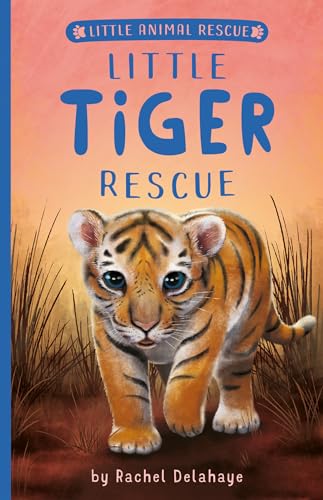 Little Tiger Rescue (Little Animal Rescue)