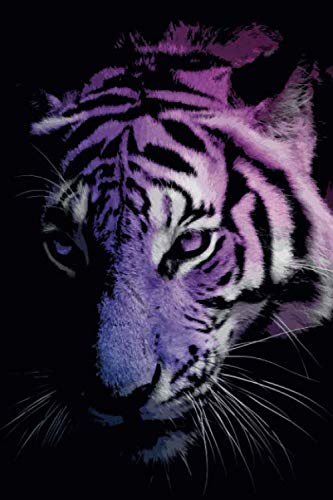 Tiger: DIN A5 | (6x9 inch) | squared (kariert) | Notizbuch | Notebook | 120 Seiten (120 pages) von Independently published
