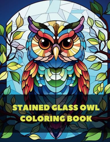 Stained Glass Owl Coloring Book For Adults: 60 Unique Pages | For Stress Relief And Relaxation | For Boys And Girls | Perfect Gift von Independently published