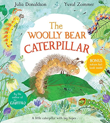 The Woolly Bear Caterpillar von Macmillan Children's Books