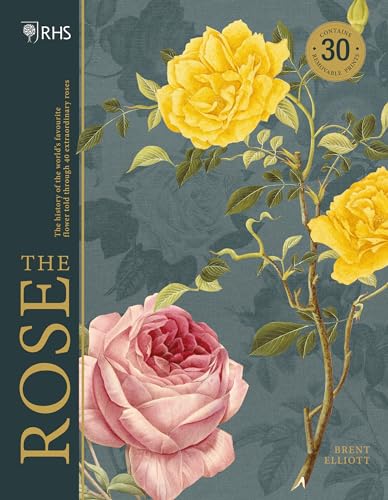 RHS The Rose: The history of the world's favourite flower in 40 roses von Welbeck Publishing