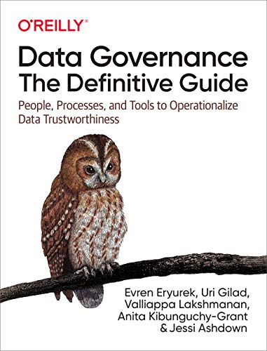 Data Governance: The Definitive Guide: People, Processes, and Tools to Operationalize Data Trustworthiness von O'Reilly Media