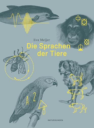 Die Sprachen der Tiere (Naturkunden) von Matthes & Seitz Verlag