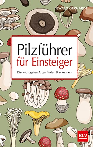 Pilzführer für Einsteiger: Die wichtigsten Arten finden & erkennen (BLV Pilze)