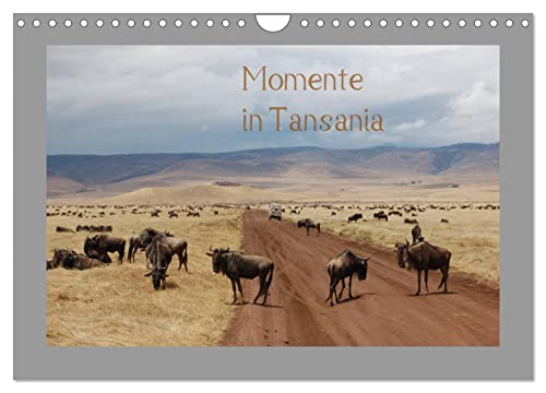 Momente in Tansania (Wandkalender 2025 DIN A4 quer), CALVENDO Monatskalender: Faszination am Äquator von Calvendo