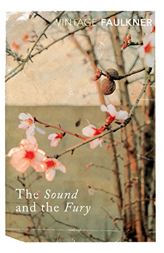 The Sound and the Fury: With an introduction by Richard Hughes (Vintage classics)
