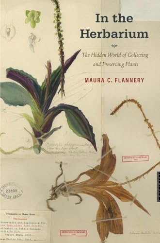 In the Herbarium: The Hidden World of Collecting and Preserving Plants von Yale University Press