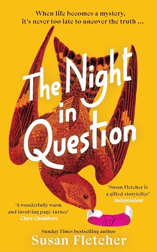 The Night in Question: Discover the rich, dazzling life of 2024’s most lovable protagonist von Bantam