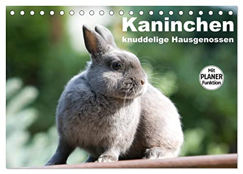Kaninchen - knuddelige Hausgenossen (Tischkalender 2024 DIN A5 quer), CALVENDO Monatskalender von CALVENDO