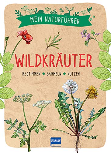 Naturführer - Wildkräuter: Bestimmen · sammeln · nutzen