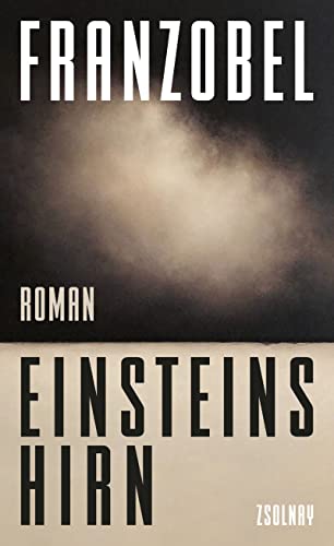 Einsteins Hirn: Roman von Paul Zsolnay Verlag
