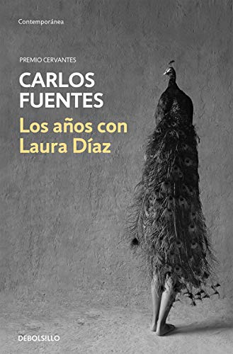 Los años con Laura Díaz (Contemporánea) von DEBOLSILLO