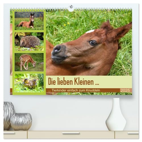 Die lieben Kleinen ... Tierkinder einfach zum Knuddeln (hochwertiger Premium Wandkalender 2025 DIN A2 quer), Kunstdruck in Hochglanz von CALVENDO