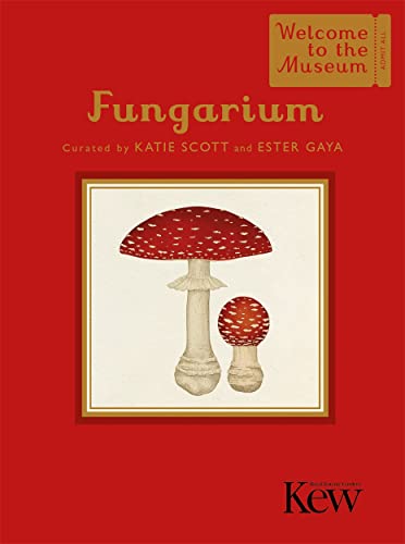 Fungarium (Mini Gift Edition) (Welcome To The Museum) von Big Picture Press